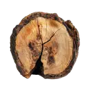 A horizontal cross-section of a tree trunk showing visible rings, dark bark, and natural cracks on a white background.