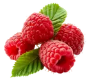 Four fresh red raspberries with two green serrated leaves on a white background.