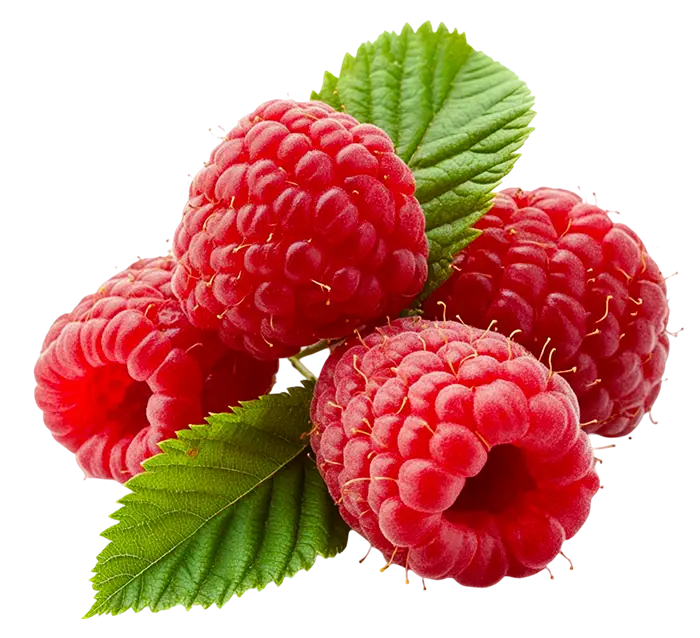 Four fresh red raspberries with two green serrated leaves on a white background.