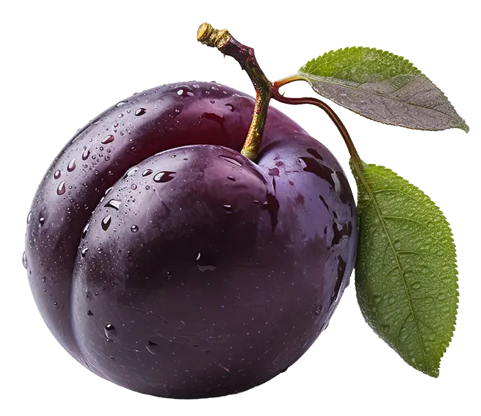 A ripe purple plum with water droplets, a stem, and two green leaves on a white background.