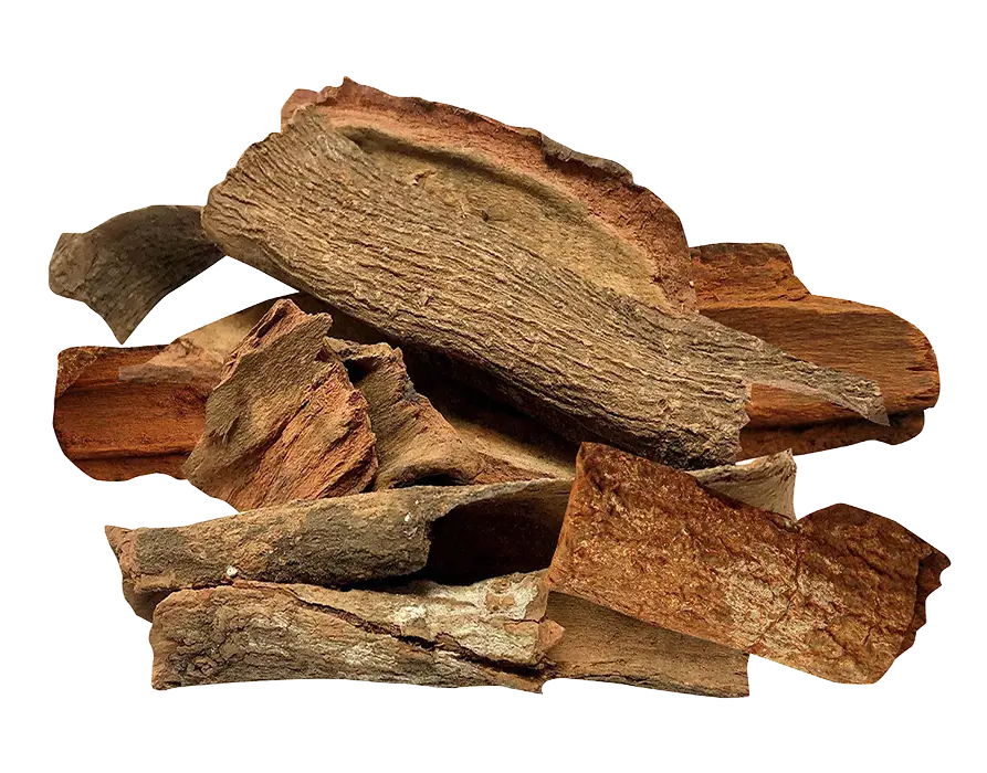 A pile of raw tree bark pieces in brown and earthy tones on a white background.