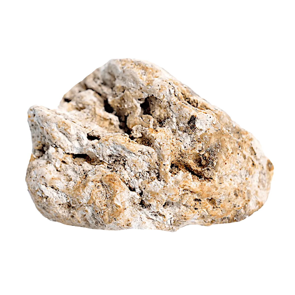 An irregular piece of pumice stone in beige and white tones with a porous texture, on a white background.