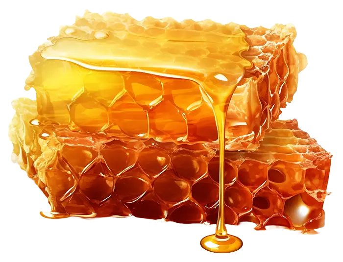 Two pieces of fresh honeycomb stacked on top of each other with liquid honey dripping down.