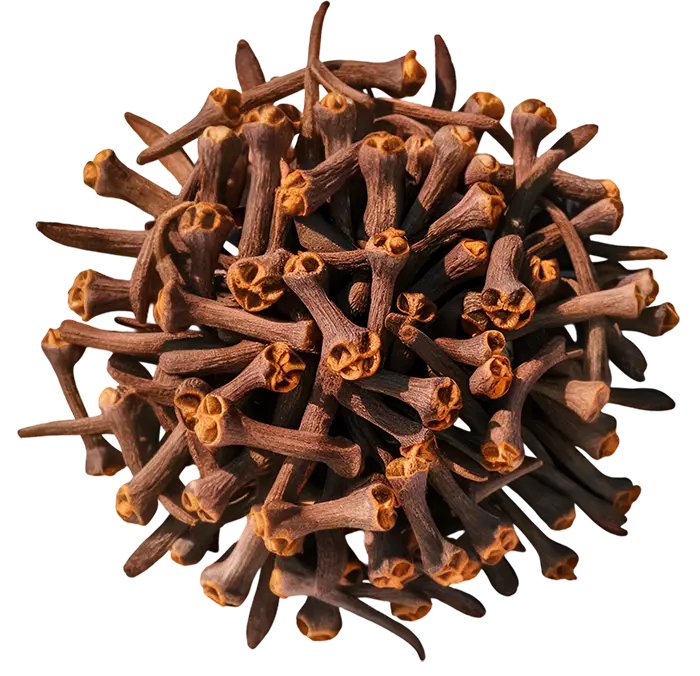 A pile of dried whole cloves on a white background.