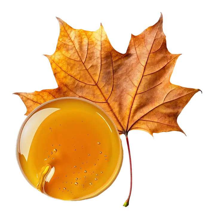 A round droplet of amber-colored viscous liquid in front of a dry autumn plane tree leaf.