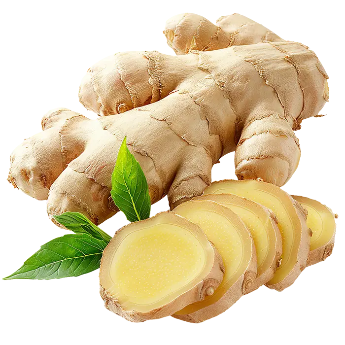 Whole ginger root next to sliced pieces and green leaves on a white background.