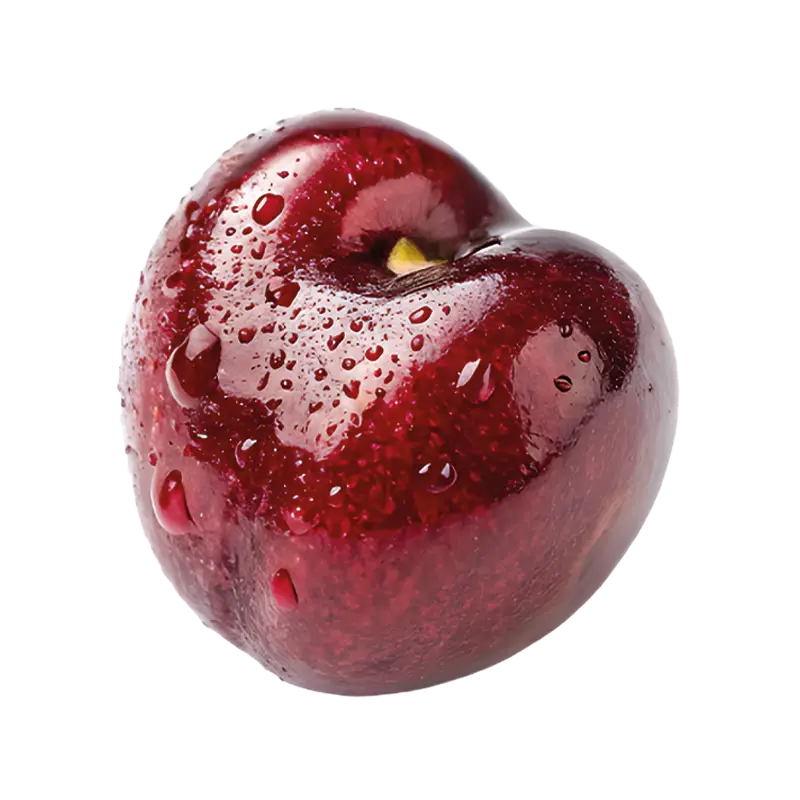 A ripe dark red cherry covered in fresh water droplets against a white background.