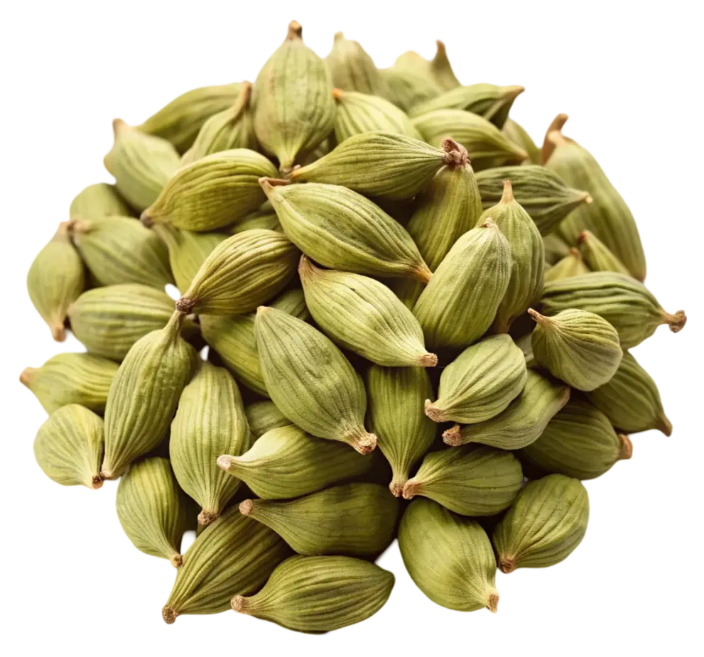 A pile of whole green cardamom pods with a ridged texture on a white background.