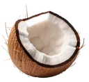 A halved coconut with brown fibrous shell and white flesh on a white background.