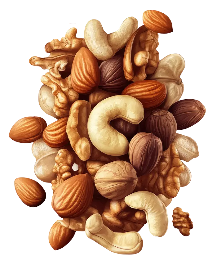 An assortment of whole almonds, cashews, walnuts, and hazelnuts grouped together on a white background.