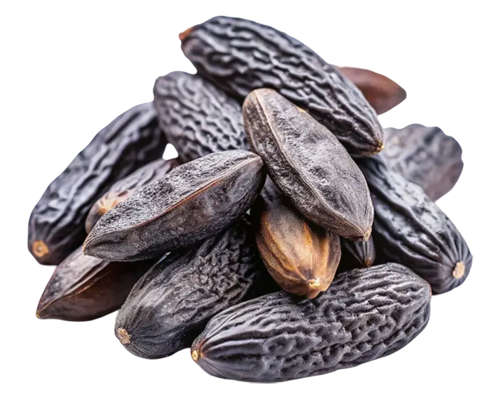 A pile of dried tonka beans with dark textured shells on a white background.