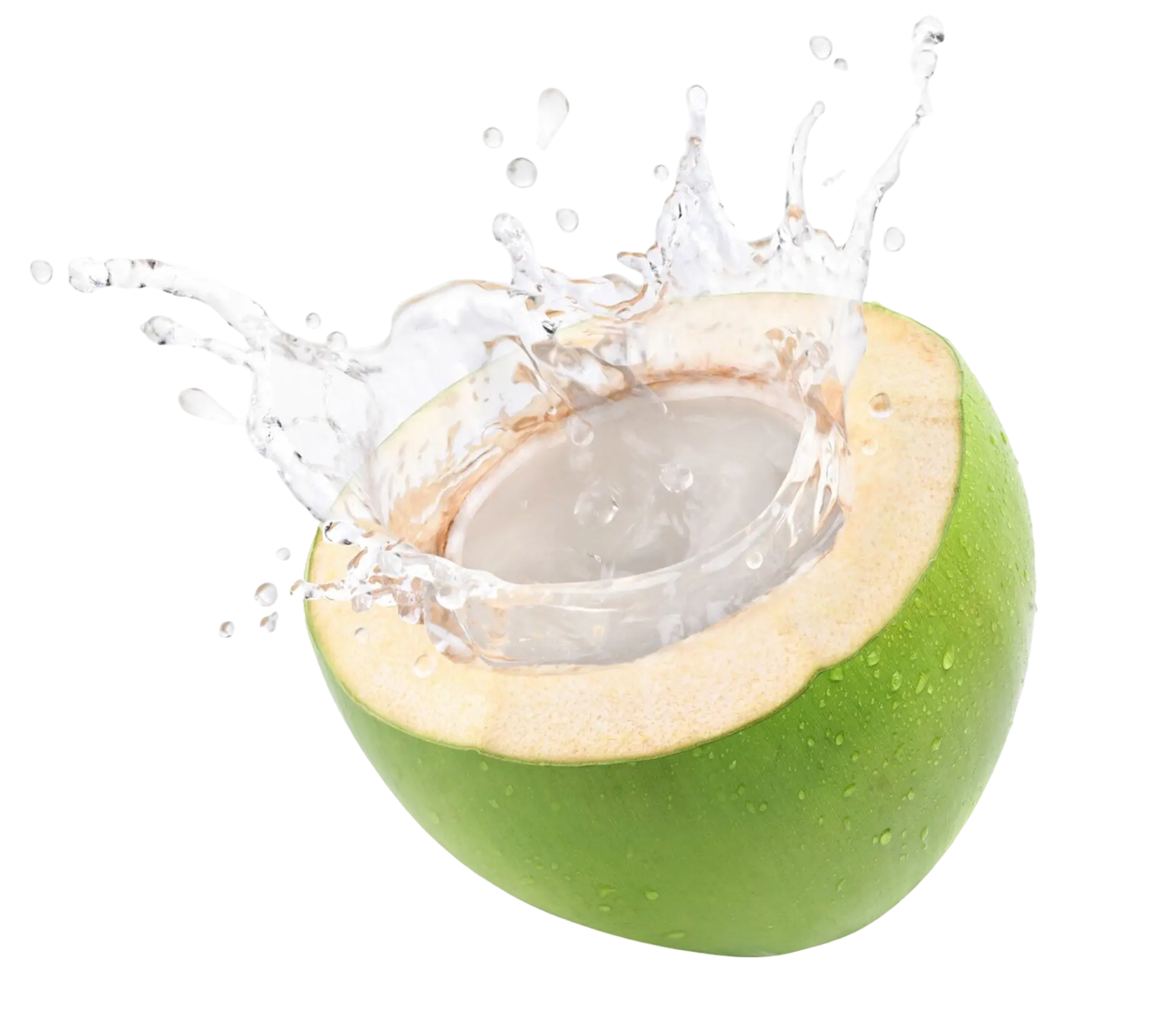 A green coconut cut in half with water bursting from its interior.