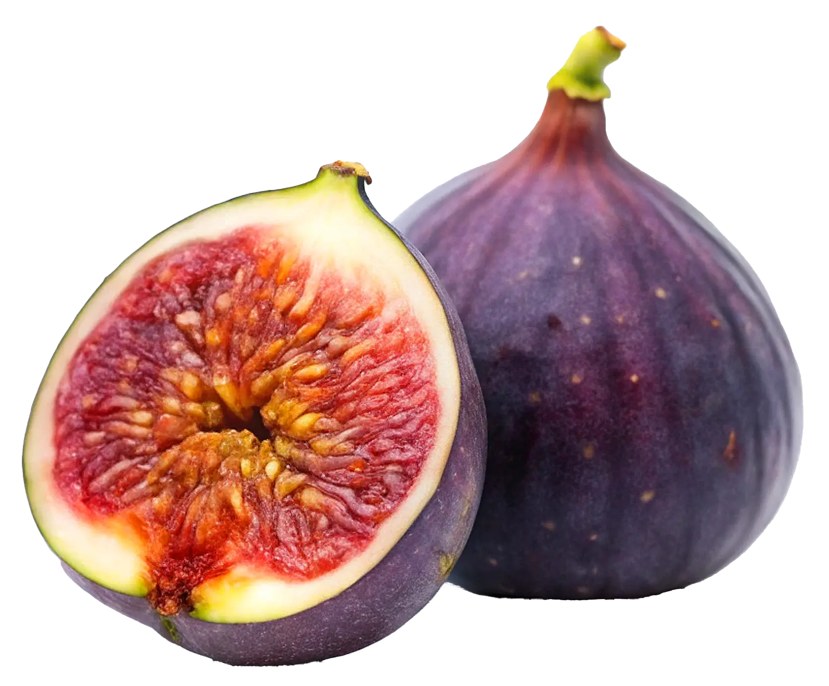 A whole purple fig beside a halved fig showing red flesh, on a white background.