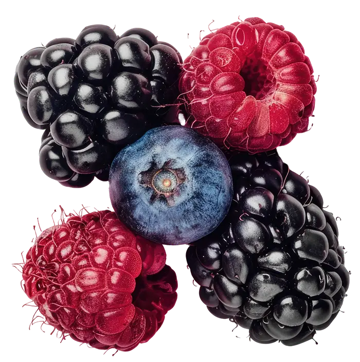 An arrangement of fresh blackberries, raspberries, and a single blueberry in the center, on a white background.