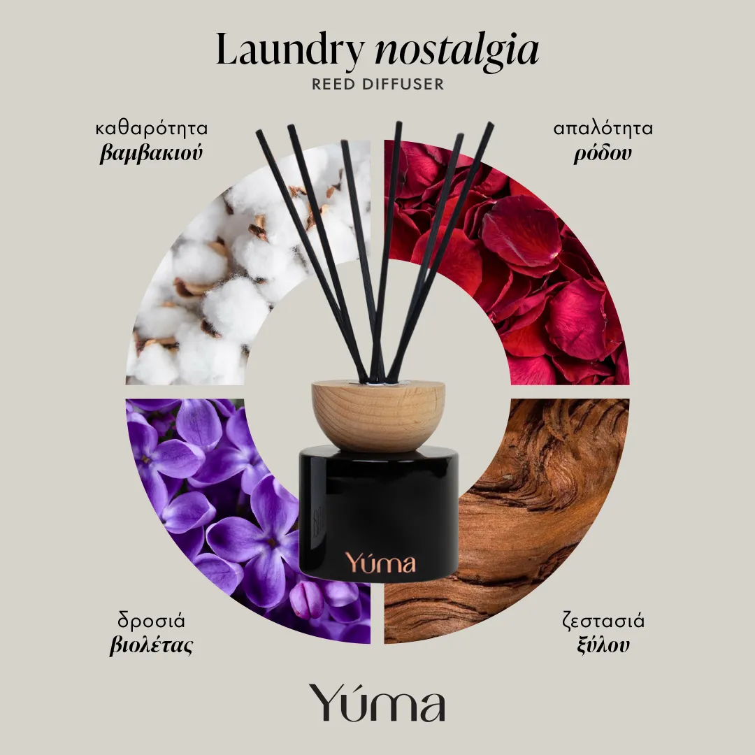 Laundry Nostalgia Reed Diffuser 100 ml