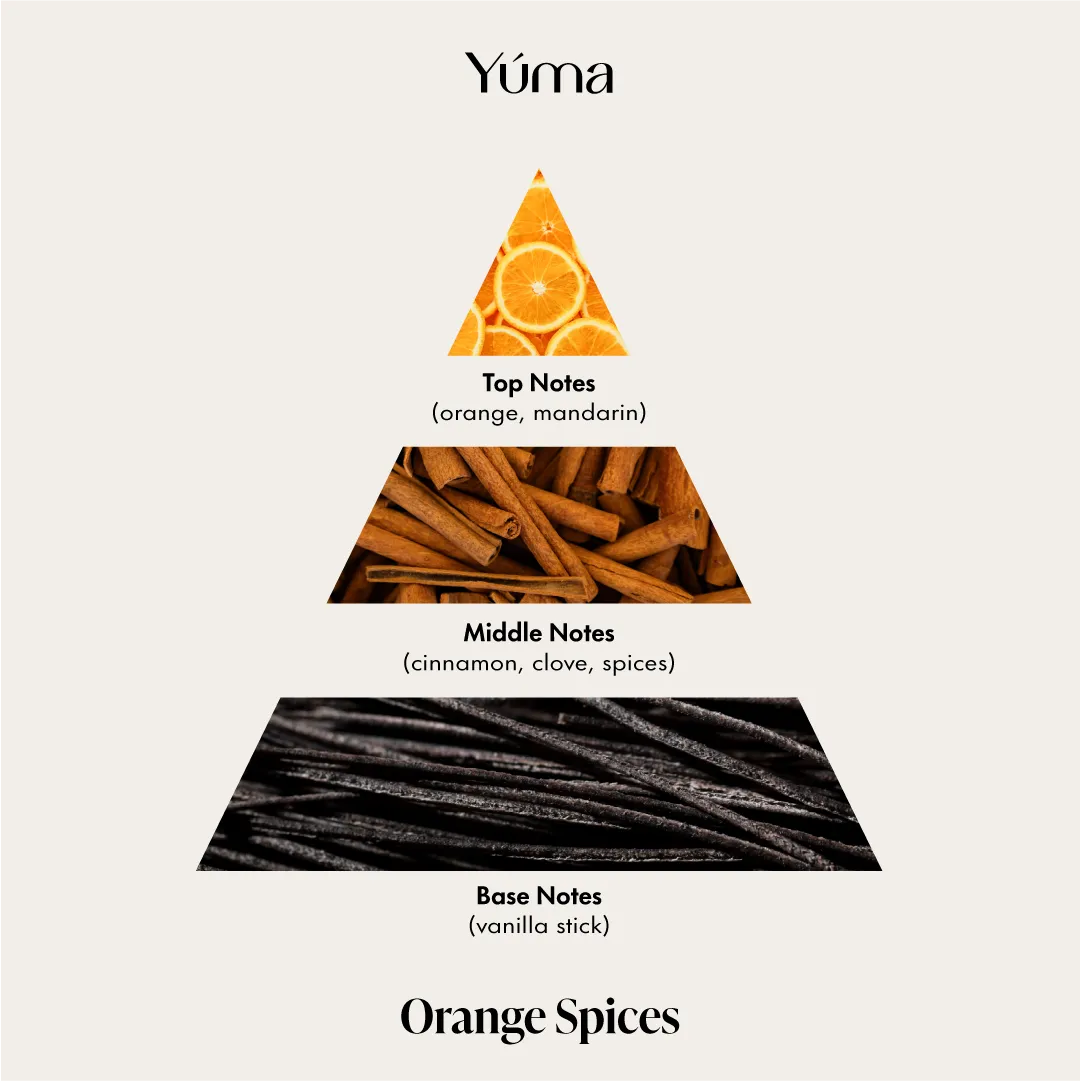Orange Spices Reed Room Fragrance 100 ml