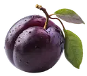 Plum A ripe purple plum with water droplets, a stem, and two green leaves on a white background.