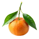 Mandarin A whole orange mandarin with a green stem and two glossy leaves on a white background.