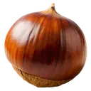 Chestnut A whole chestnut with a shiny brown shell and rough base on a white background.