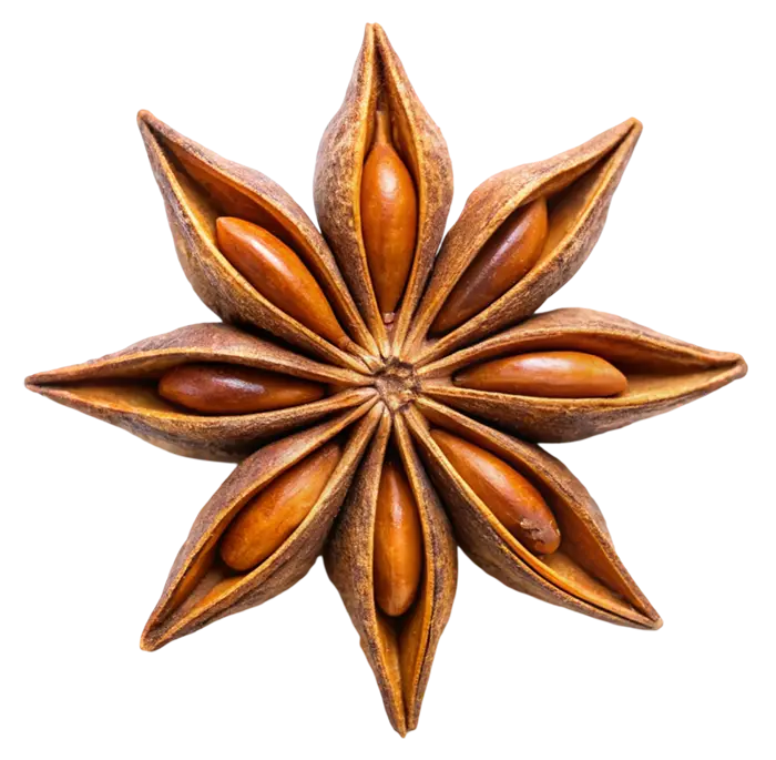 Anise A star anise with eight points and visible seeds inside on a white background.